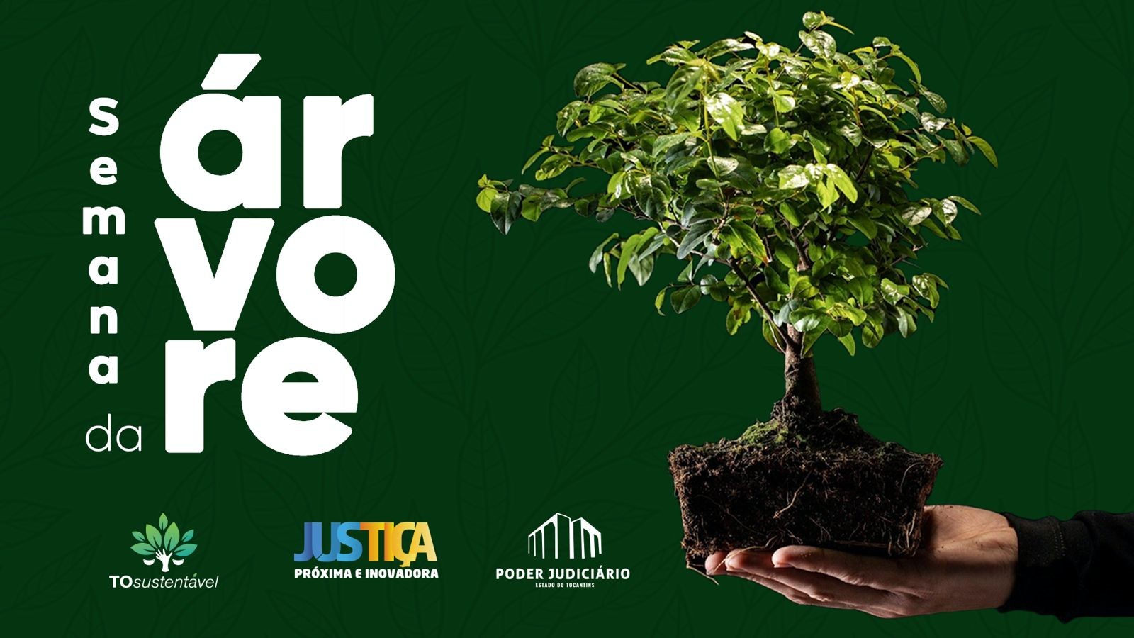 Card com fundo verde e escrito "Semana da árvore" e com uma mão que segura uma planta. A arte tem as logomarcas do Poder Judiciário, da Justiça Mais Próxima e To sustentável