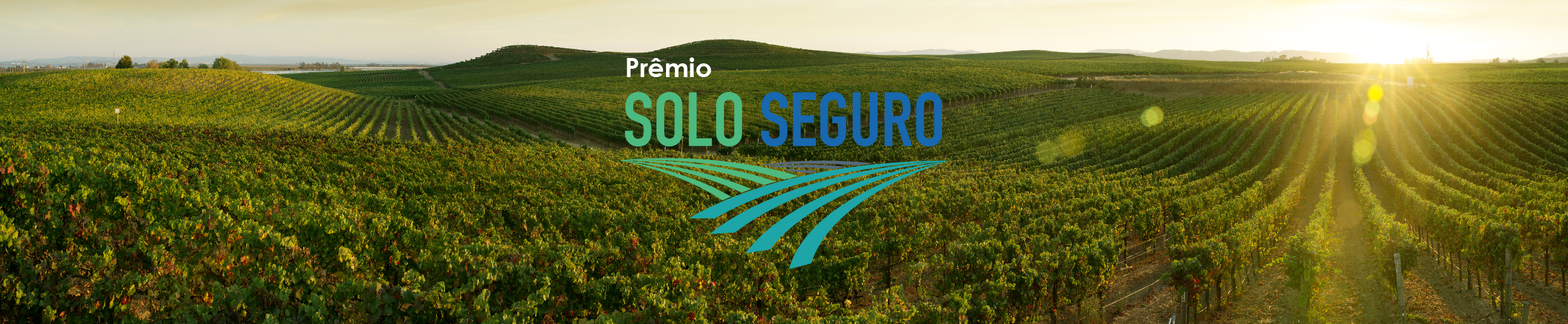 card com os dizeres "Prêmio Solo Seguro" com imagem de uma plantação  ao fundo