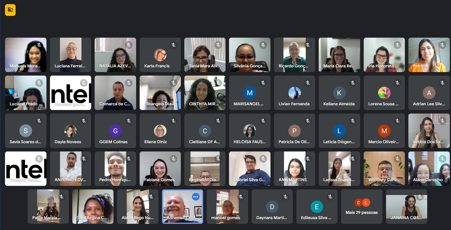 Print da tela de um monitor com várias janelas abertas com a identificação dos participantes do evento 