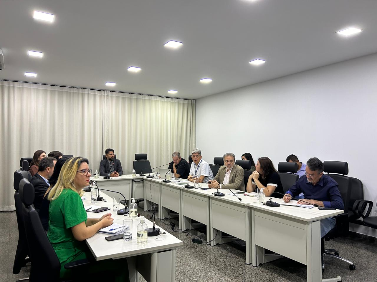 Integrantes de cooperação técnica reunidos em torno de uma mesa 