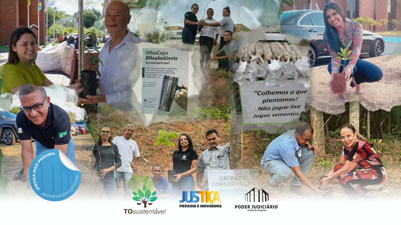 Colagem com mix de imagens com pessoas envolvidas em ações alusivas ao Dia da Árvore