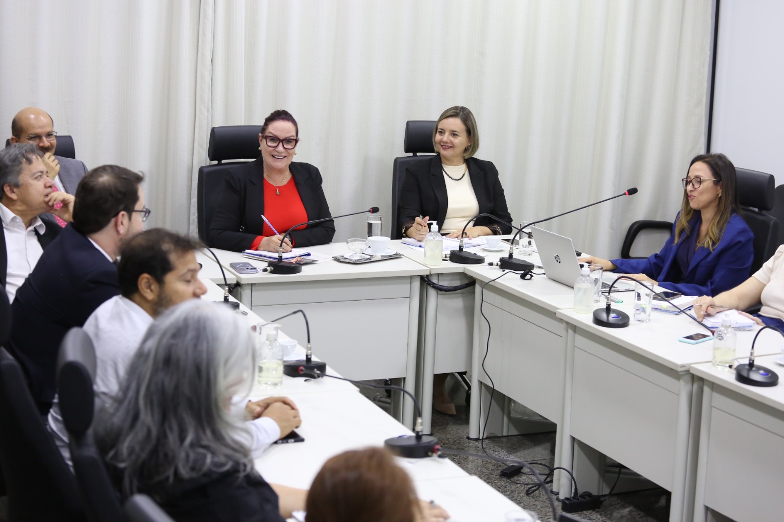 Presidente do TJTO, desembargadora Etelvina ao centro, reunida com membros do comitê