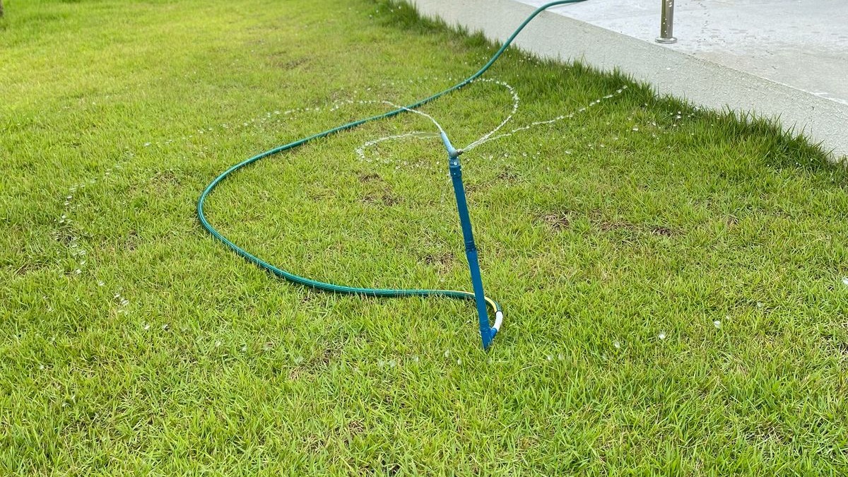 Fotografia mostra uma mangueira aguando um jardim com uma grama verdinha