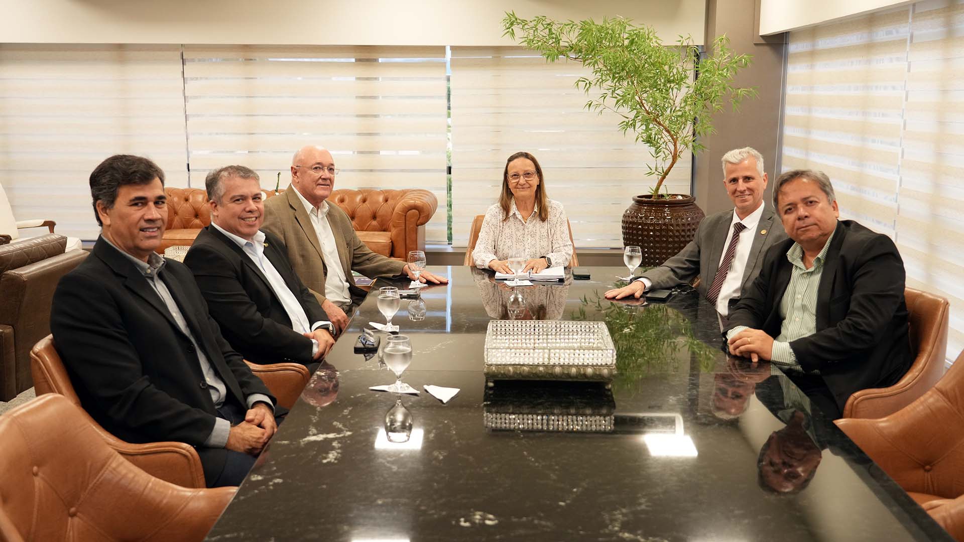 Reunião em uma sala de mesa ampla; seis pessoas sentadas ao redor da mesa, em ambiente institucional.
