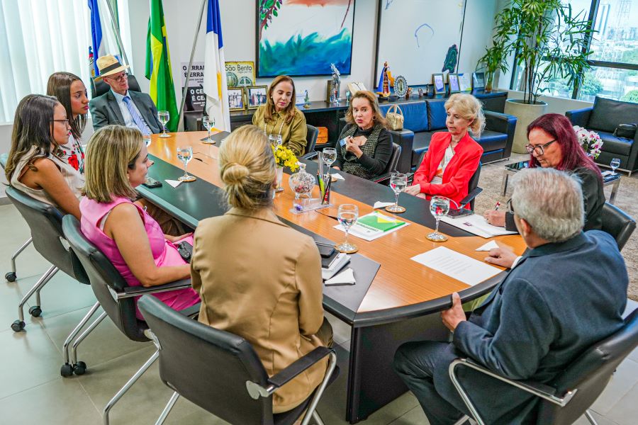 Foto aberta de uma mesa de reunião com várias pessoas sentadas e conversando sobre o projeto Maria nas Comunidades