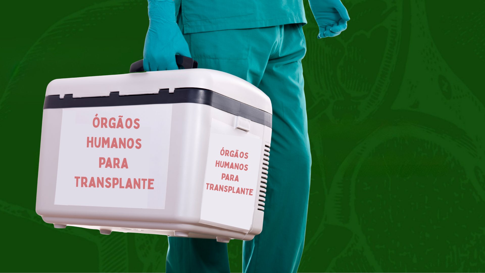 A imagem mostra um profissional de saúde carregando uma caixa térmica com a inscrição "Órgãos Humanos Para Transplante" em português, em um fundo verde.