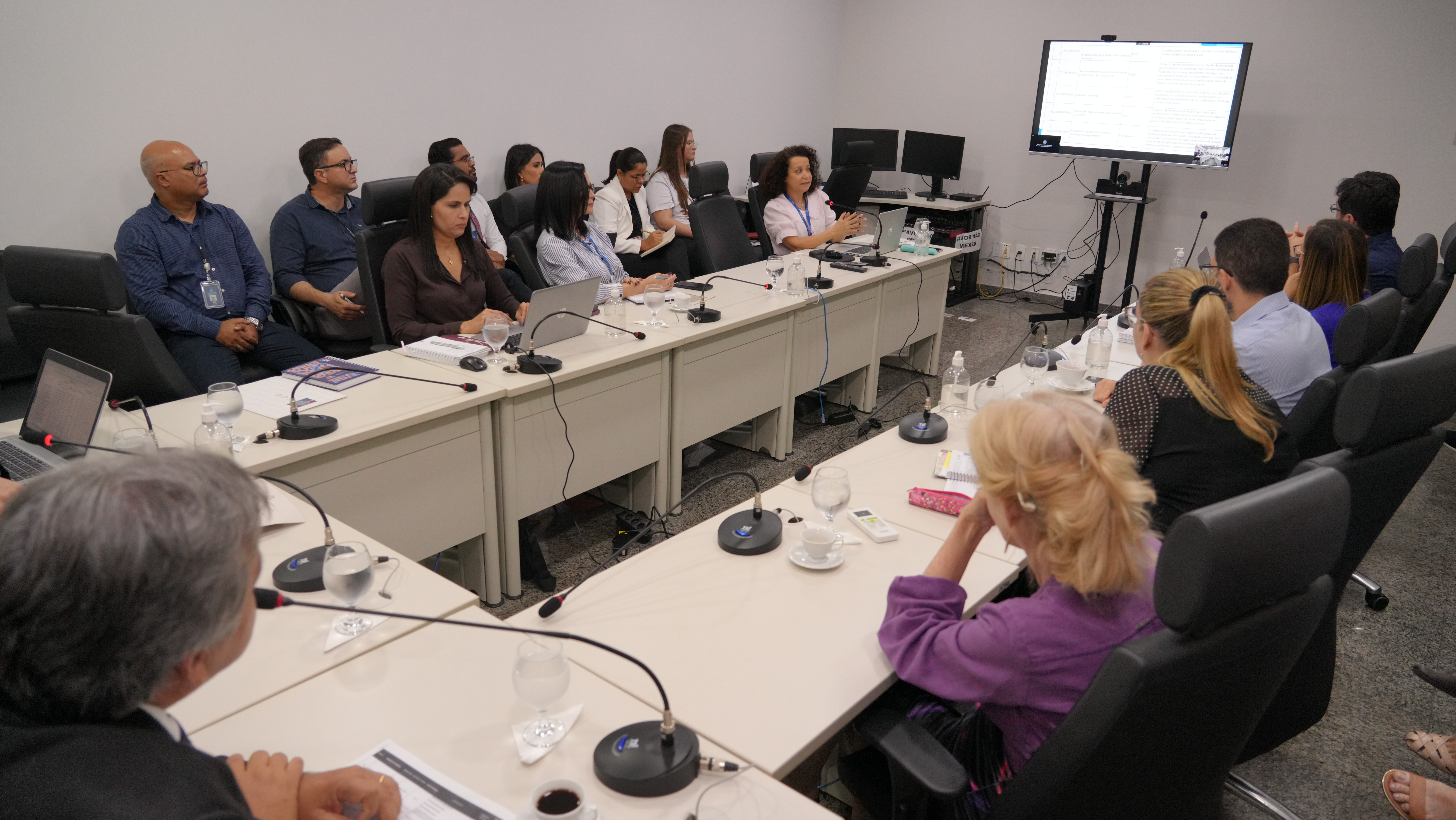 A imagem retrata uma reunião institucional realizada em uma sala ampla e bem iluminada, com paredes claras e mobiliário em tons neutros. Os participantes estão acomodados em cadeiras executivas ao redor de uma mesa retangular disposta em formato de “U”, equipada com microfones individuais, copos com água, xícaras e materiais de apoio, como notebooks, blocos de anotações e documentos impressos.  Ao centro da cena, uma mulher conduz a reunião, fazendo uso da palavra enquanto gesticula levemente, indicando que está apresentando ou explicando algum ponto da pauta. À sua frente, um monitor de televisão fixado em suporte exibe um documento ou sistema projetado, sugerindo a análise técnica de informações.