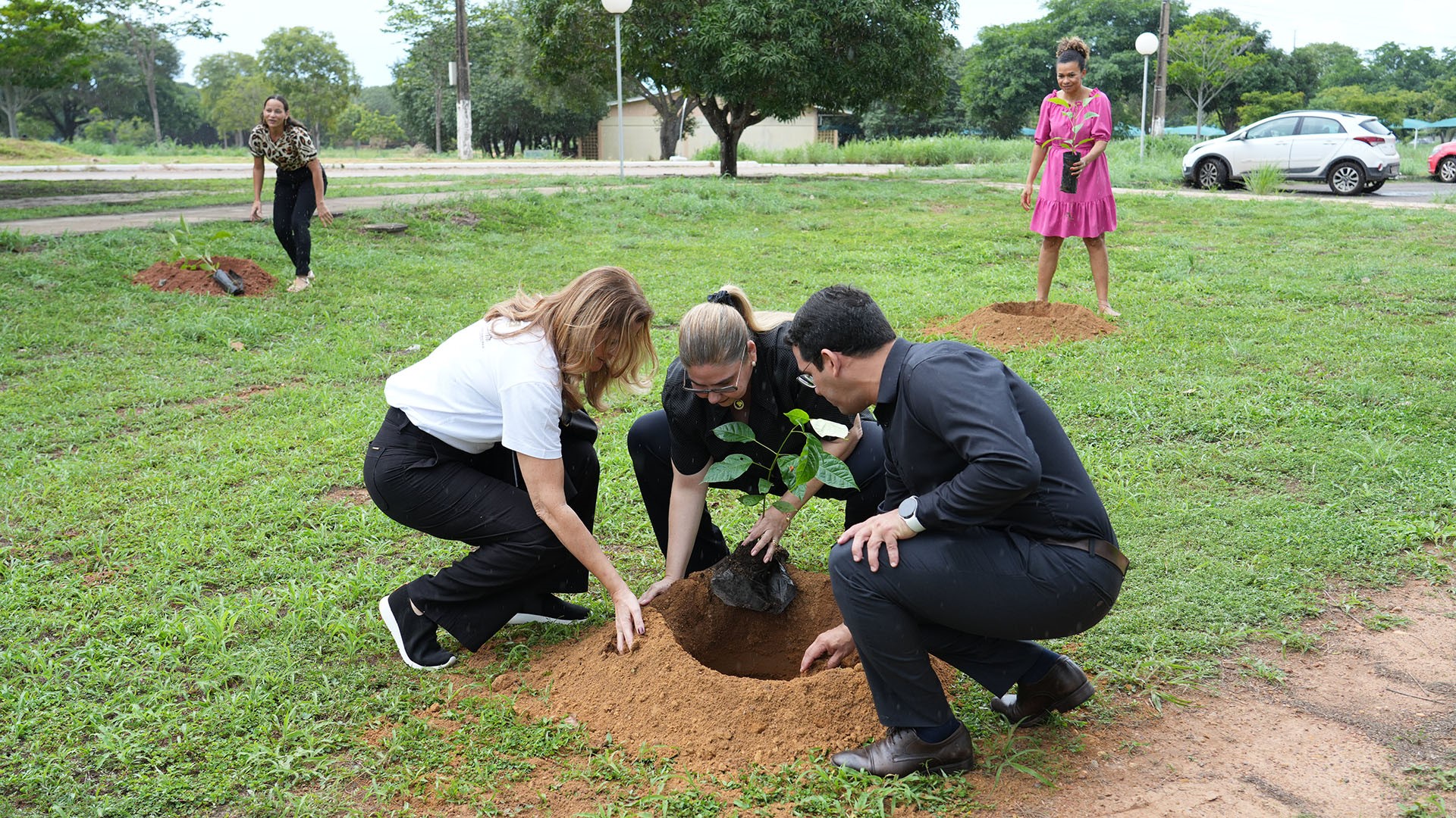 Magistrada e servidores agachados realizam o plantio de uma muda de árvore em área gramada. Ao fundo, outras duas pessoas também participam da atividade de plantio. O local apresenta árvores, postes de iluminação e um carro estacionado ao lado da área verde.