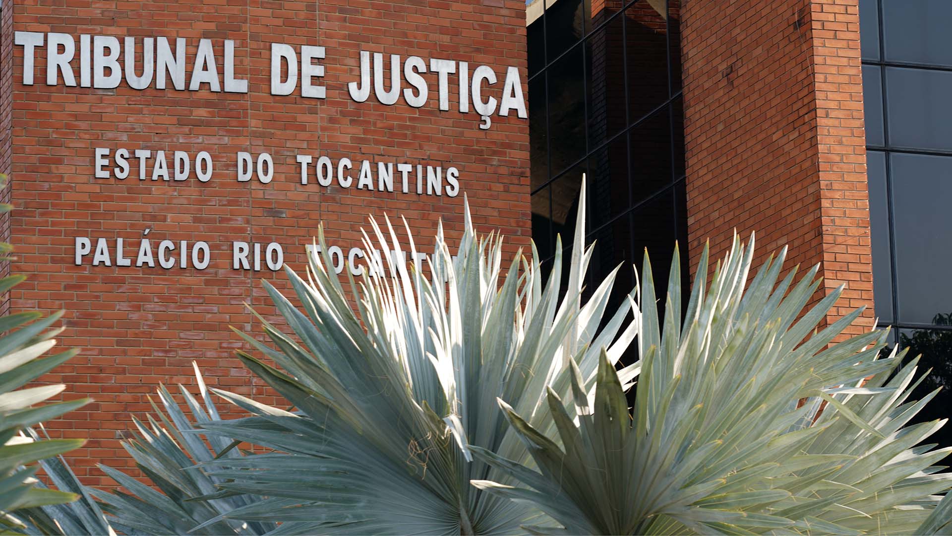 Imagem externa do prédio do Tribunal de Justiça do Estado do Tocantins, com destaque para a fachada em tijolos aparentes. Em letras metálicas, aparecem as inscrições “Tribunal de Justiça”, “Estado do Tocantins” e “Palácio Rio Tocantins”. Em primeiro plano, há plantas ornamentais com folhas longas e pontiagudas, parcialmente cobrindo a base da estrutura. À direita, observa-se parte da edificação com revestimento em vidro, refletindo a luz natural.