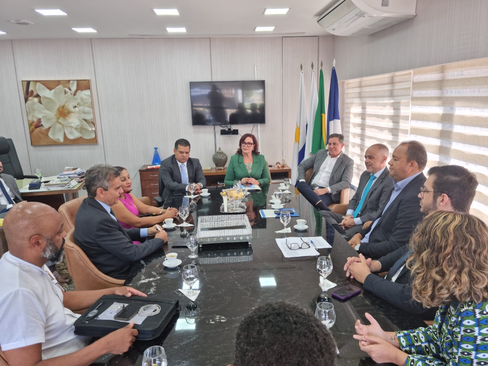 Sala de reuniões com a presidente do TJTO, desembargadora Etelvina na ponta da mesa, de terno verde, ao lado de membros do CNJ, juízes do tocantins e representantes de instituições parceiras