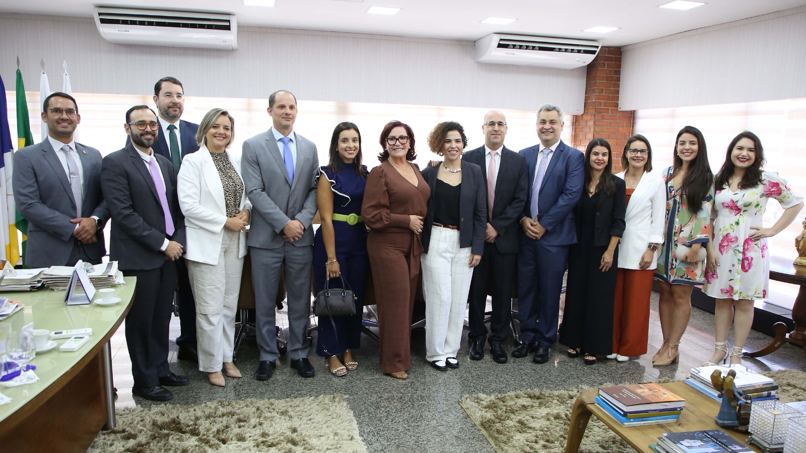 Presidente do TJTO, desembargadora Etelvina ao centro, de roupa marrom, ao lado de outros integrantes da Rede SimplesToc. Todos estão em pé, de frente.