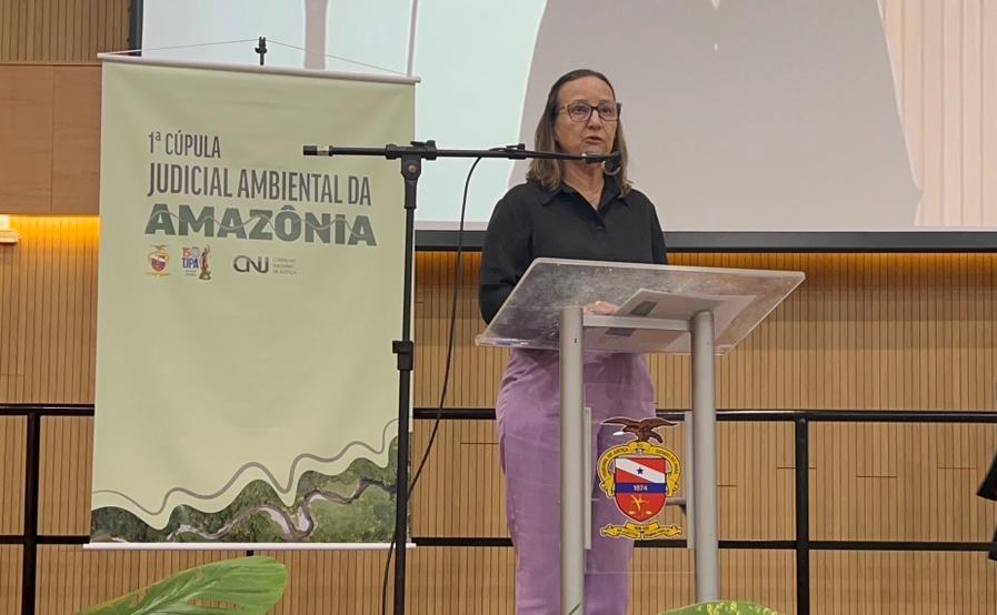 Desembargadora Maysa Vendramini Rosal na 1ª Cúpula Judicial Ambiental da Amazônia