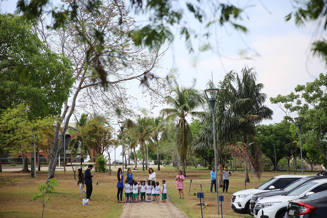 plantio arv cei 00001