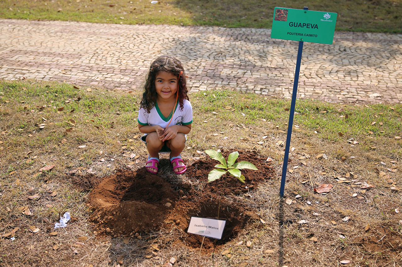 plantio arv cei 00010