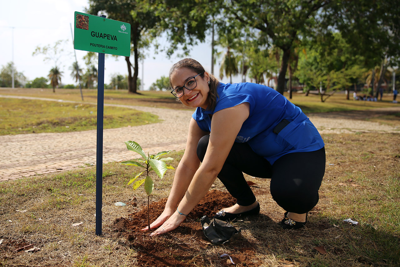 plantio arv cei 00014