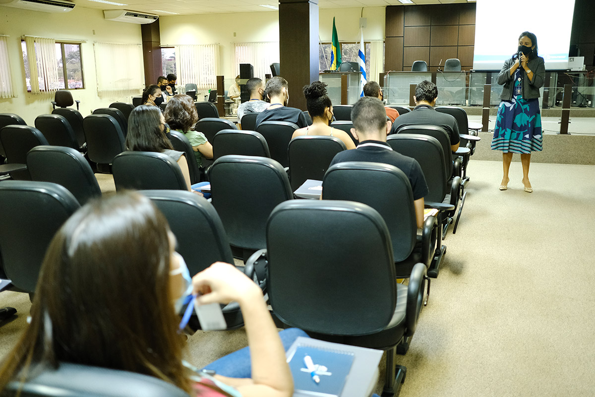 jc 2711 palmas 00001